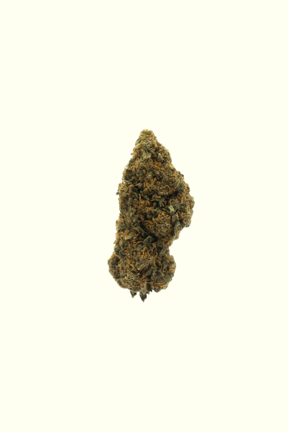 Mango Skunk