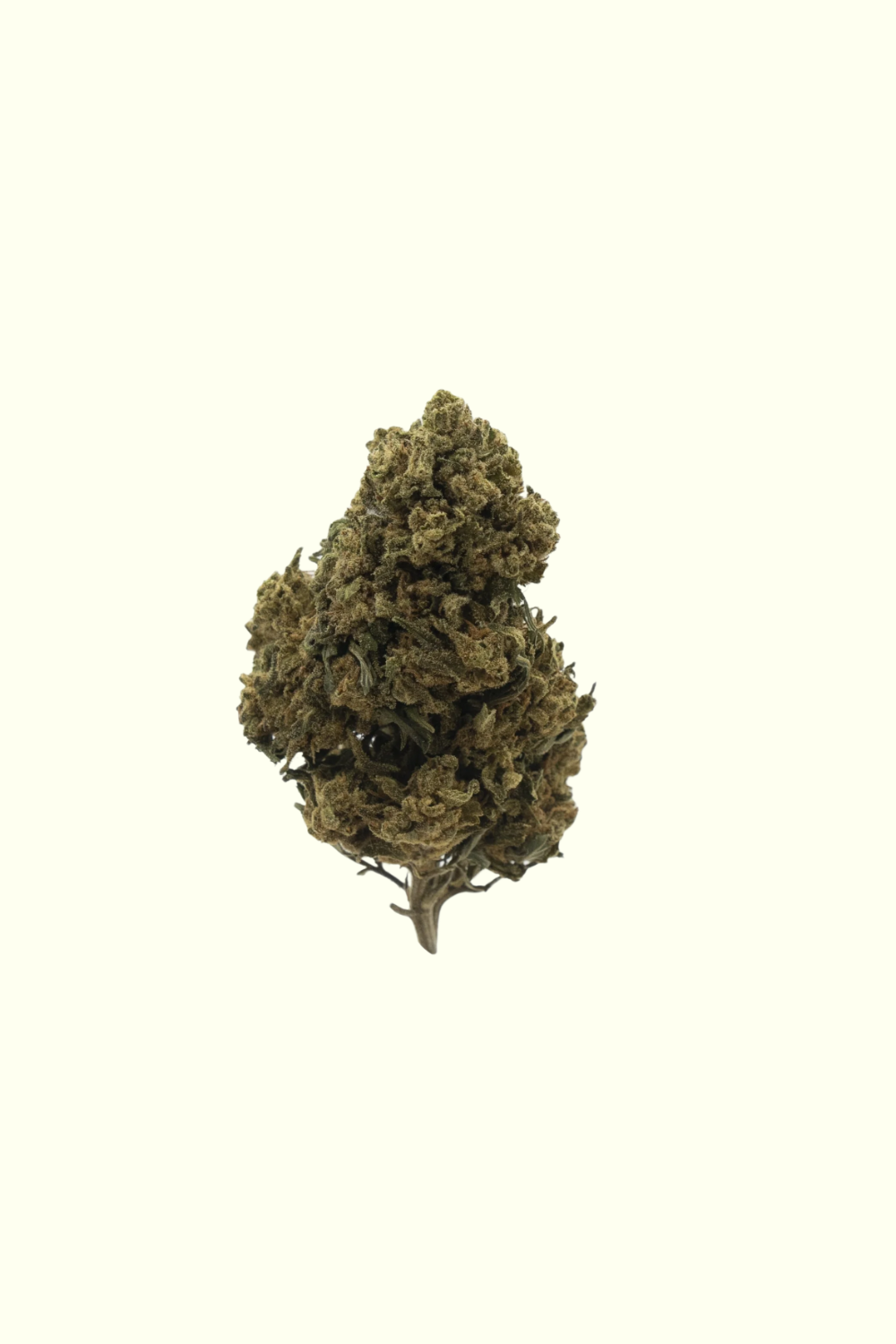 OG Kush HHC - Watermelon